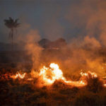 আমাজনের আগুন নেভাতে ৪৪ হাজার সেনা, যুদ্ধবিমান ছিটাচ্ছে পানি