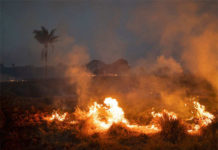 আমাজনের আগুন নেভাতে ৪৪ হাজার সেনা, যুদ্ধবিমান ছিটাচ্ছে পানি