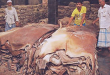 চামড়ার অস্বাভাবিক কম দাম নিয়ে হাইকোর্টে রিট