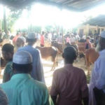 তাহিরপুরে অবৈধ গরুর বাজার বসিয়েছে প্রভাবশালীরা, রাজস্ববঞ্চিত হচ্ছে সরকার