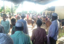 তাহিরপুরে অবৈধ গরুর বাজার বসিয়েছে প্রভাবশালীরা, রাজস্ববঞ্চিত হচ্ছে সরকার