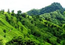 বান্দরবানে স্কুল দপ্তরির গলাকাটা লাশ উদ্ধার