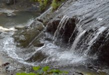 বান্দরবানে ঝর্নায় গোসলে নেমে কলেজ শিক্ষার্থীর মৃত্যু