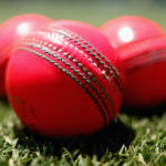 ক্রিকেটের ‘গোলাপি বল’ নিয়ে কেন এত হৈ চৈ?