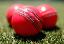 ক্রিকেটের ‘গোলাপি বল’ নিয়ে কেন এত হৈ চৈ?