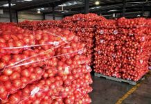 মিয়ানমার থেকে আরো ১০৩ টন পেঁয়াজ এসেছে