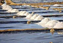 লবণের মূল্যবৃদ্ধির গুজব না ছড়ানোর আহবান জানালো সরকার