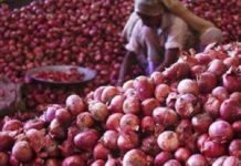 ভারত পিয়াজ রফতানির নিষেধাজ্ঞা তুলে নেয়ায় দাম কমবে পিয়াজের: কৃষিমন্ত্রী