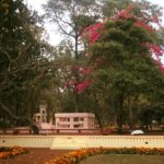 ঘুরে দেখা শান্তিনিকেতন