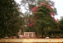 ঘুরে দেখা শান্তিনিকেতন