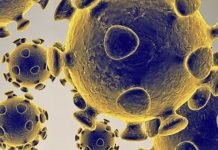 করোনাভাইরাস নিয়ে গুজব ছড়ানোয় সাতকানিয়া পৌরসভার কর্মচারি গ্রেফতার