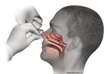 কিট থাকলেও দেশের সব জেলায় করোনা টেস্ট করা সম্ভব হবেনা, জেনে নিন সঠিক কারণ