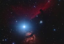 ‘‘১২ মে করোনাভাইরাস বিদায় নেবে’’ বিষয়টির সত্যতা কতটুকু?