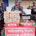 তাহিরপুর সীমান্ত থেকে গাঁজা ও নাসির বিড়ি উদ্ধার