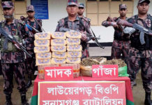 তাহিরপুর সীমান্ত থেকে গাঁজা ও নাসির বিড়ি উদ্ধার