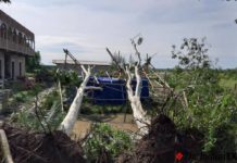 ঘূর্ণিঝড় আম্পানের তান্ডবে লন্ডভন্ড কলকাতা