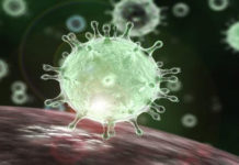 করোনা ভাইরাস বাংলাদেশে ৫৯০ বার জিন পাল্টেছে: বিসিএসআইআর