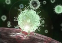 করোনা প্রতিরোধে চীন থেকে ঢাকায় এলো ১০ সদস্যের মেডিকেল টিম