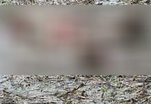 সুনামগঞ্জে হাওর থেকে যুবকের লাশ উদ্ধার