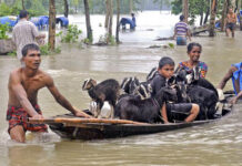 জামালপুরে বন্যায় অর্ধলক্ষাধিক মানুষ পানিবন্দি