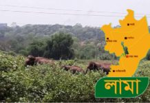 লামায় হাতি তাড়ানোর ফাঁদে জড়িয়ে যুবকের মৃত্যু
