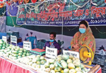 জীবিকার তাগিতে ফল বিক্রি করছেন শিক্ষক! ছাড়তে হয়েছে ভাড়ার বাসা