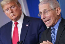 করোনা: মার্কিনিদের হতাশার কথা শোনালেন ফাউচি