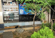 সিরিয়ায় মসজিদের কাছে বোমা হামলায় একজন নিহত