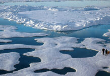 জলবায়ু পরিবর্তনের ফলস্বরূপ ফিরে আসছে মারাত্মক সব রোগব্যাধি