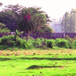 কুড়িগ্রাম সীমান্তে বিএসএফের গুলিতে বাংলাদেশি যুবক নিহত