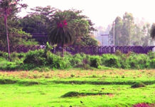 কুড়িগ্রাম সীমান্তে বিএসএফের গুলিতে বাংলাদেশি যুবক নিহত