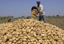 আলুর মূল্য ৫ টাকা বাড়িয়ে ৩৫ টাকা নির্ধারণ