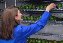 ফলমূল তাজা রাখা যাবে নতুন প্রযুক্তির সাহায্যে