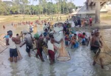 ‘ছোট যমুনায়’ মাছ ধরার উৎসব
