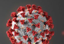 ১৭ টি গুরুত্বপূর্ণ পরিবর্তন হয়েছে নতুন করোনাভাইরাসটিতে