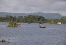 হাতির ডেরায় দুই রাত