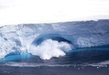 ধেয়ে আসছে বিশাল মাপের আইসবার্গ, হুমকির মুখে বহু প্রাণী