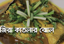 জিরা-কাতলার ঝোল