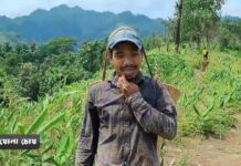 বান্দরবানে শুরু হয়েছে জুমের ফসল তোলার মৌসুম