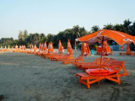 a row of chairs and umbrellas on the beach