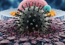 বান্দরবানে এক নারী করোনাভাইরাসে আক্রান্ত: বাড়িতেই চলছে প্রাথমিক চিকিৎসা