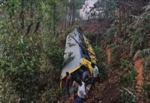 বান্দরবানে একটি গাছ বাঁচিয়ে দিলো ৪৪ যাত্রীর প্রাণ!