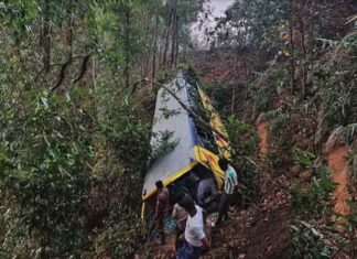 বান্দরবানে একটি গাছ বাঁচিয়ে দিলো ৪৪ যাত্রীর প্রাণ!