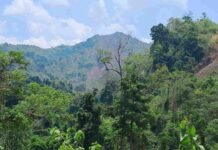 কেওক্রাডং নয়? দেশের সর্বোচ্চ শৃঙ্গ নির্ধারণে চূড়ান্ত ঘোষণা মে মাসে