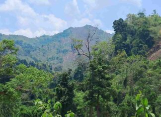 কেওক্রাডং নয়? দেশের সর্বোচ্চ শৃঙ্গ নির্ধারণে চূড়ান্ত ঘোষণা মে মাসে